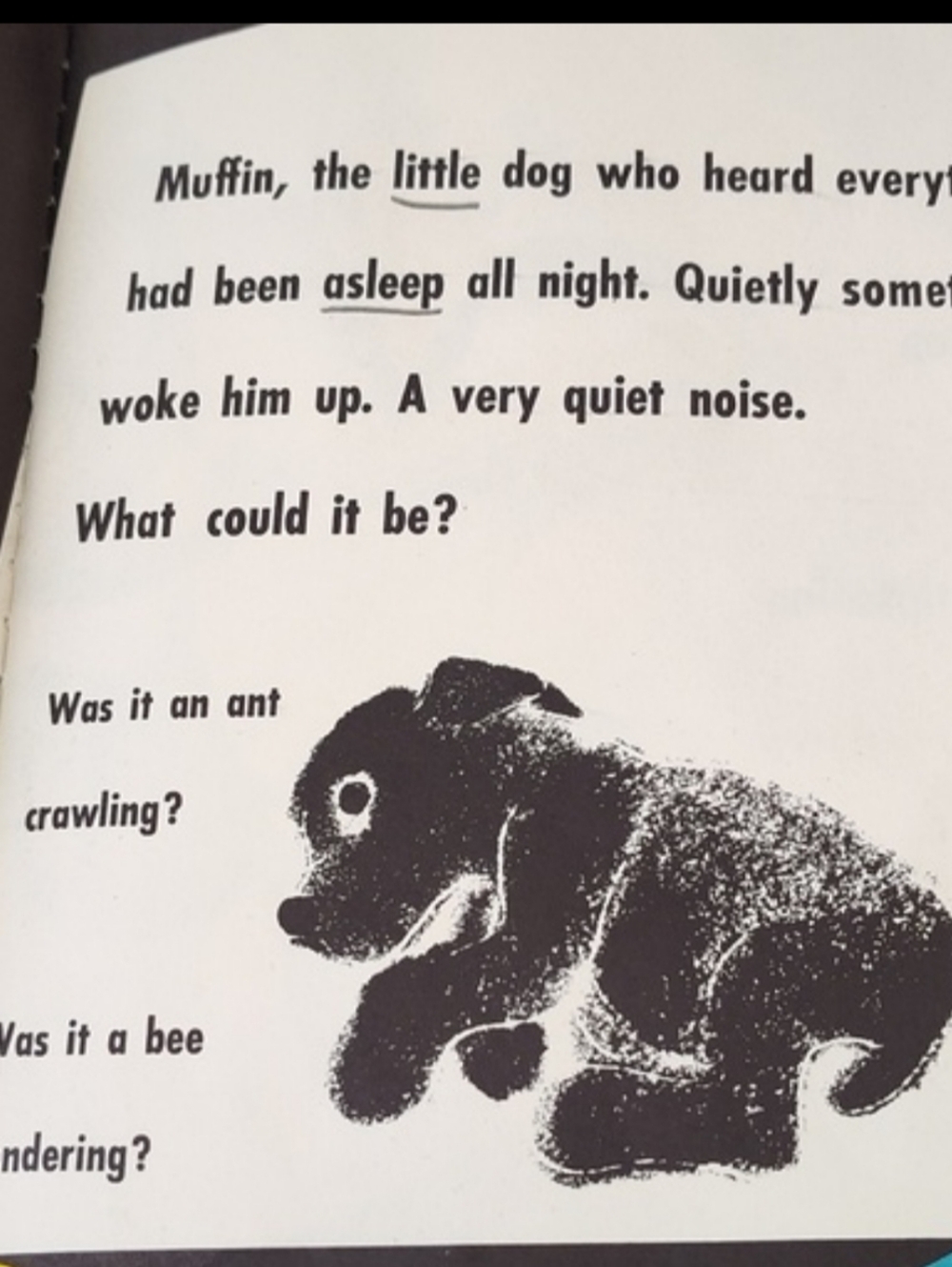 The QUIET NOISY BOOK 1950 First Edition Dust Jacket MARGARET WISE BROWN - Picture 6 of 9